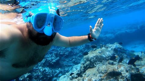 naama bay rolex|naama bay snorkeling.